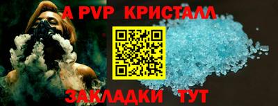 СК Кингисепп