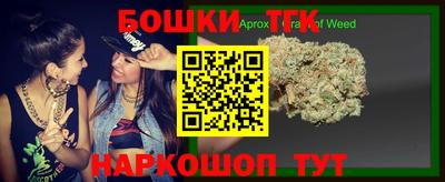 СК Кингисепп