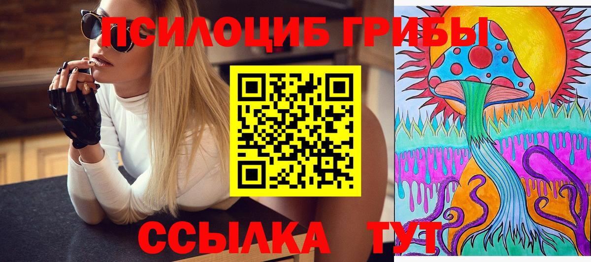где купить наркоту  Вход с VPN  Кубинка  Псилоцибиновые грибы GOLDEN TEACHER  Галлюциногенные грибы мицелий 