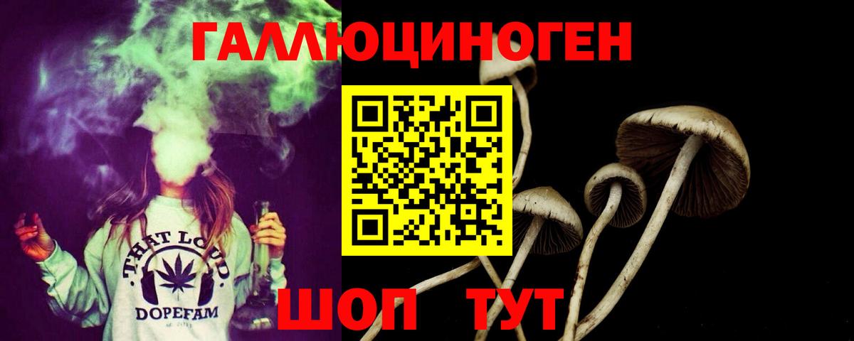 Псилоцибиновые грибы Psilocybe Кубинка